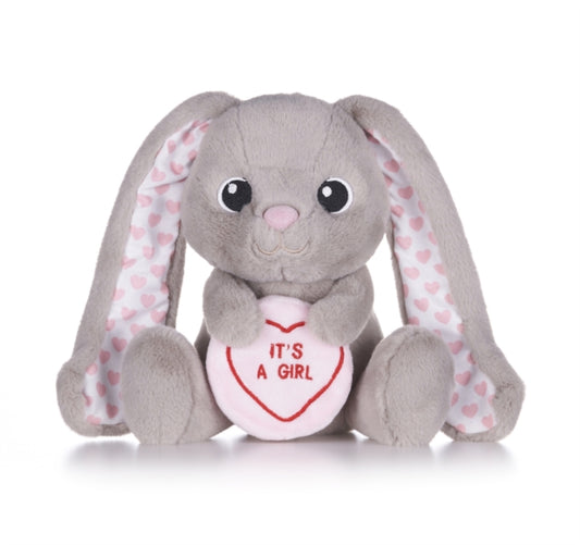 Book cover of: Love Hearts 7" Baby Girl Bunny Plush Gift