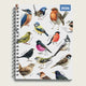 Book ISBN 5056823004027