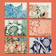 Book cover of: William Morris Postcard Set