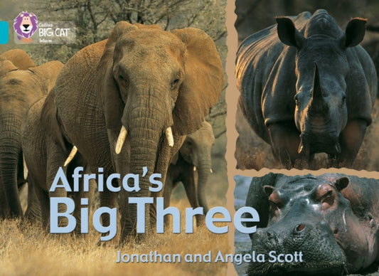 Book cover of: Africa’s Big Three