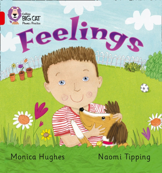 Book cover of: Feelings. By: Mónica Hughes