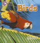 Book cover of: Birds. By: Jilly McLeod