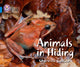 Book cover of: Animals in Hiding. By: Charlotte Guillain