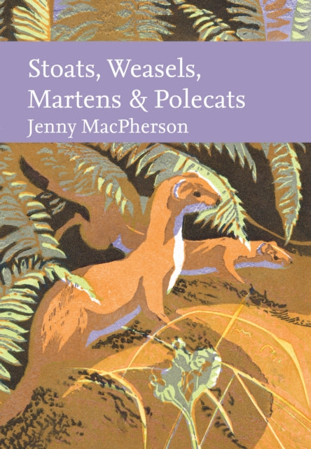 Stoats, Weasels, Martens and Polecats 9780008334932 Jenny MacPherson