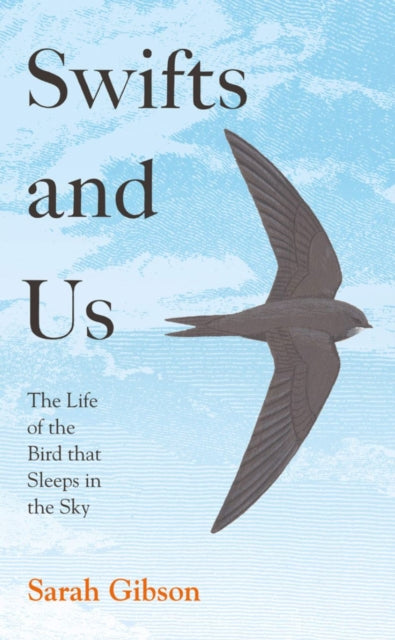 Swifts and Us, The Life of the Bird That Sleeps in the Sky 9780008350666 Sarah Gibson