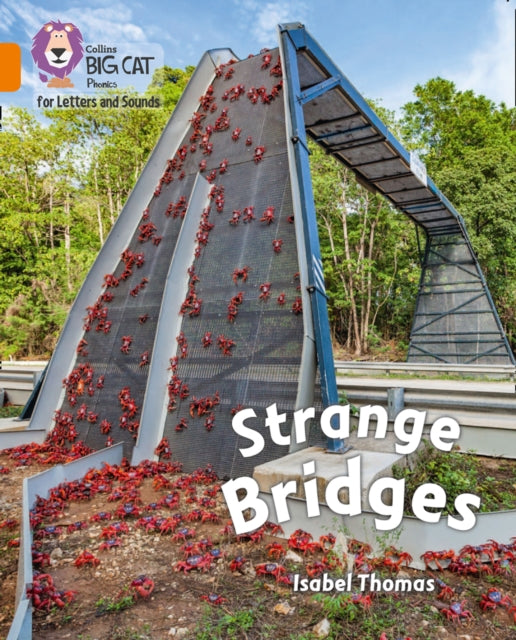 Book cover of: Strange Bridges. By: Isabel Thomas