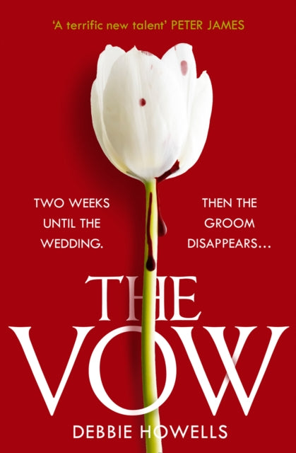 Book cover of: Vow. By: Debbie Howells