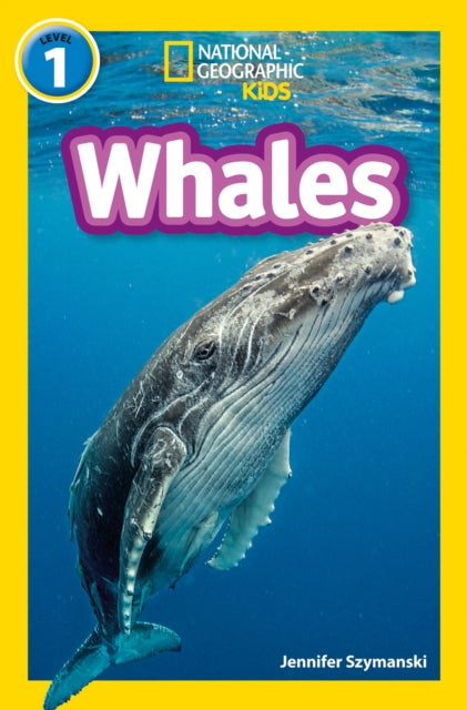 Book cover of: Whales. By: Jennifer Szymanski