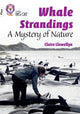 Book cover of: Whale Strandings: A Mystery of Nature. By: Claire Llewellyn