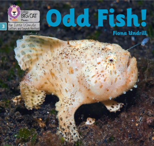 Odd Fish!, Phase 3 Set 1 9780008504496 Fiona Undrill