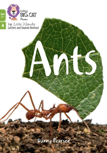 Book cover of: Ants. By: Collins Big Cat