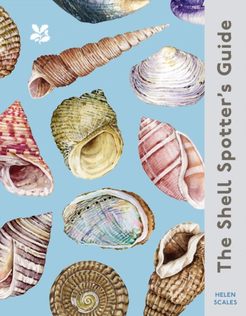Shell Spotter’s Guide 9780008641313 Helen Scales
