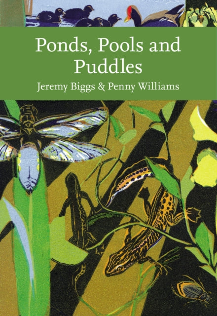 Book cover of: Ponds, Pools and Puddles. By: Jeremy Biggs