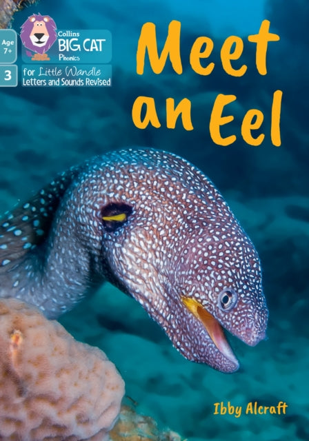 Book cover of: Meet an Eel