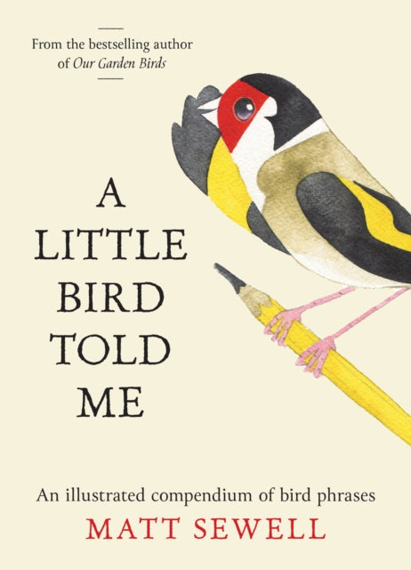 Little Bird Told Me