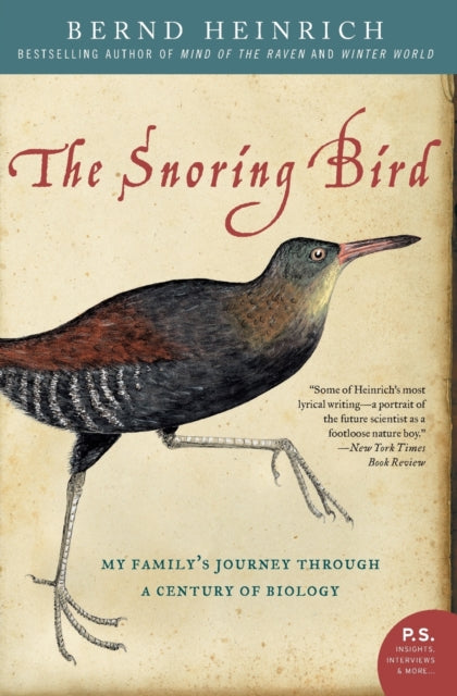 Snoring Bird