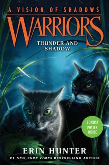 Book cover of: Warriors: A Vision of Shadows #2: Thunder and Shadow. By: Erin Hunter