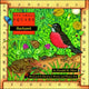 Book cover of: Backyard