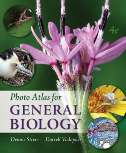 Book cover of: Photo Atlas for General Biology. By: Dennis Strete
