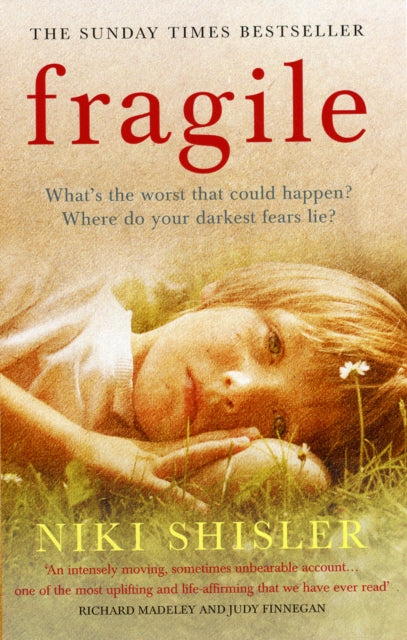 Book cover of: Fragile. By: Niki Shisler