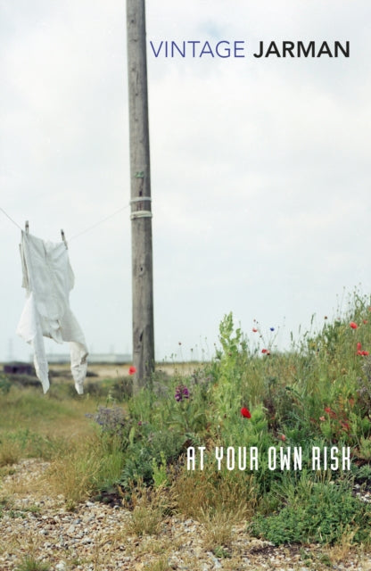 Book cover of: At Your Own Risk