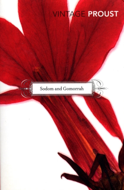 Book cover of: In Search of Lost Time, Vol 4