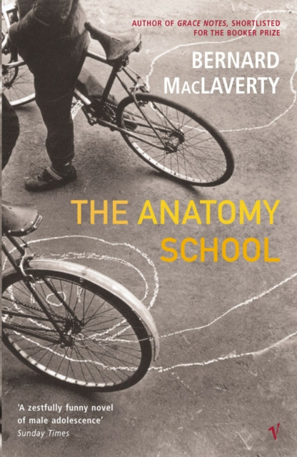 Book cover of: Anatomy School. By: Bernard MacLaverty