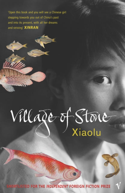 Book cover of: Village Of Stone