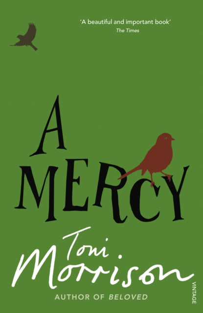 Mercy