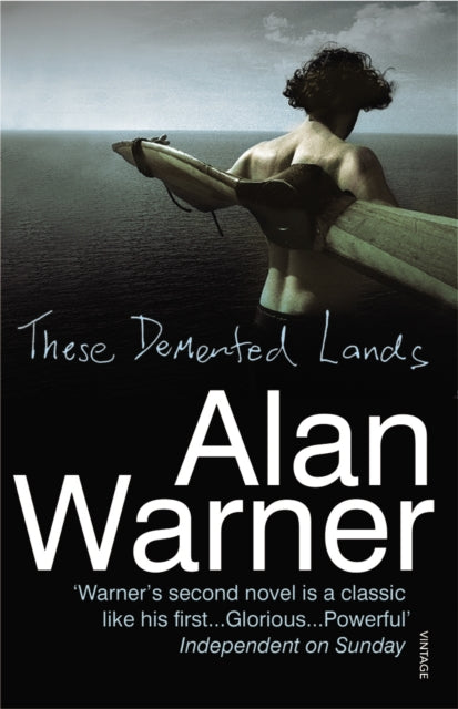 Book cover of: These Demented Lands