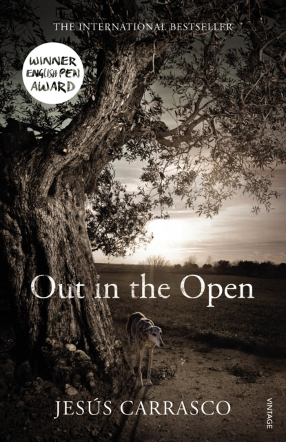 Book cover of: Out in the Open. By: Jesús Carrasco
