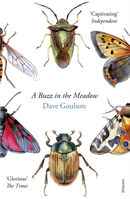 Buzz in the Meadow 9780099597698 Dave Goulson