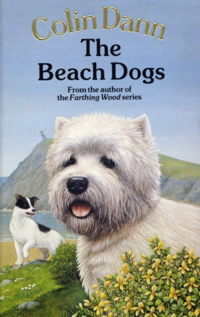 Book cover of: Beach Dogs. By: COLIN DANN