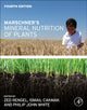 Book cover of: Marschner's Mineral Nutrition of Plants. By: Horst Marschner