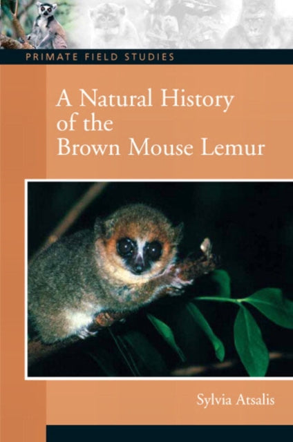 Book cover of: Natural History of the Brown Mouse Lemur. By: Sylvia Atsalis