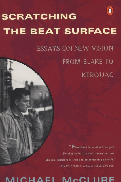 Book cover of: Scratching the Beat Surface