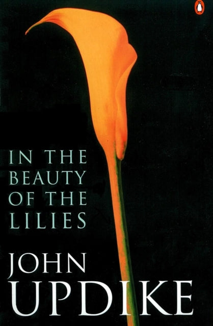 Book cover of: In the Beauty of the Lilies. By: John Updike