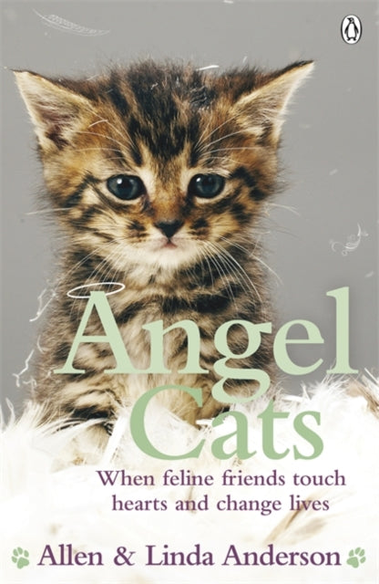 Book cover of: Angel Cats. By: Allen Anderson