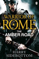 Book cover of: Warrior of Rome VI: The Amber Road