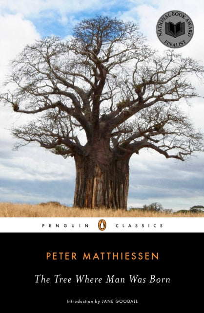 Book cover of: Tree Where Man Was Born. By: Peter Matthiessen