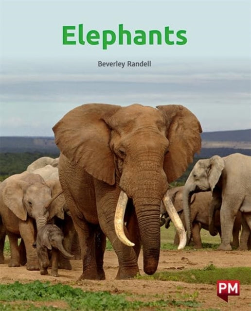 Book cover of: ELEPHANTS
