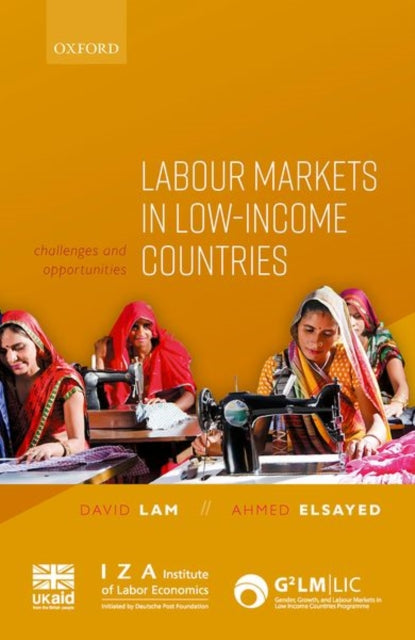 Book cover of: Labour Markets in Low-Income Countries. By: David Lam