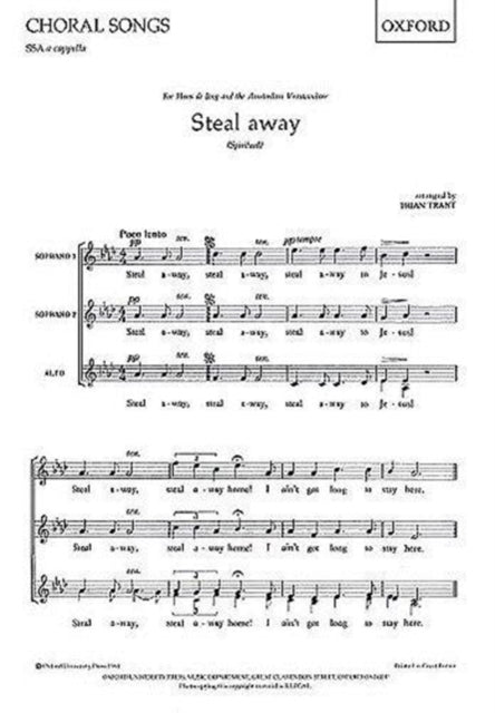 Book cover of: Steal away