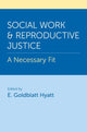 Book cover of: Social Work and Reproductive Justice. By: E. Goldblatt Hyatt