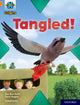 Book cover of: Project X Origins: Orange Book Band, Oxford Level 6: Tangled!. By: Jan Burchett