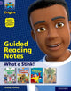Book cover of: Project X Origins: Purple Book Band, Oxford Level 8: What a Stink!: Guided reading notes. By: Lindsay Pickton