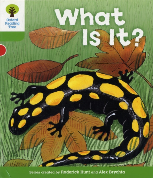 Book cover of: Oxford Reading Tree: Level 2: More Patterned Stories A: What Is It?. By: Roderick Hunt