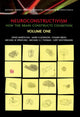 Book cover of: Neuroconstructivism - I. By: Denis Mareschal