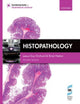 Book cover of: Histopathology
