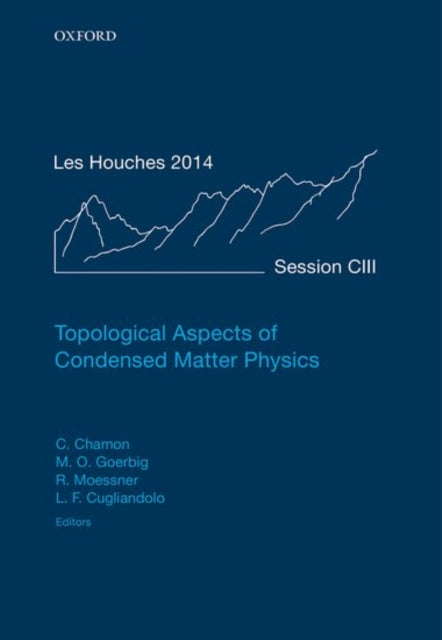 Book cover of: Topological Aspects of Condensed Matter Physics